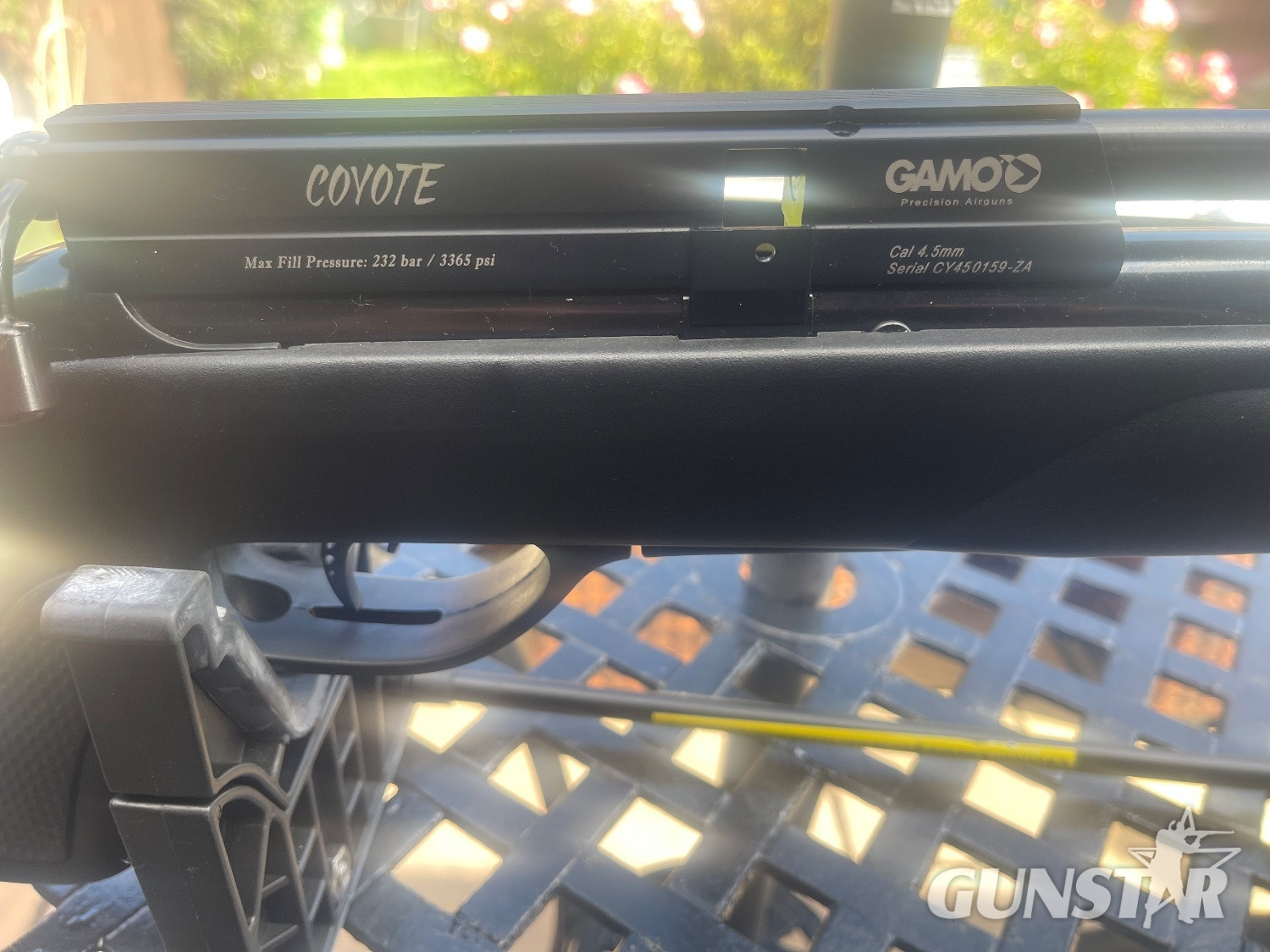 Gamo Coyote .177 in 