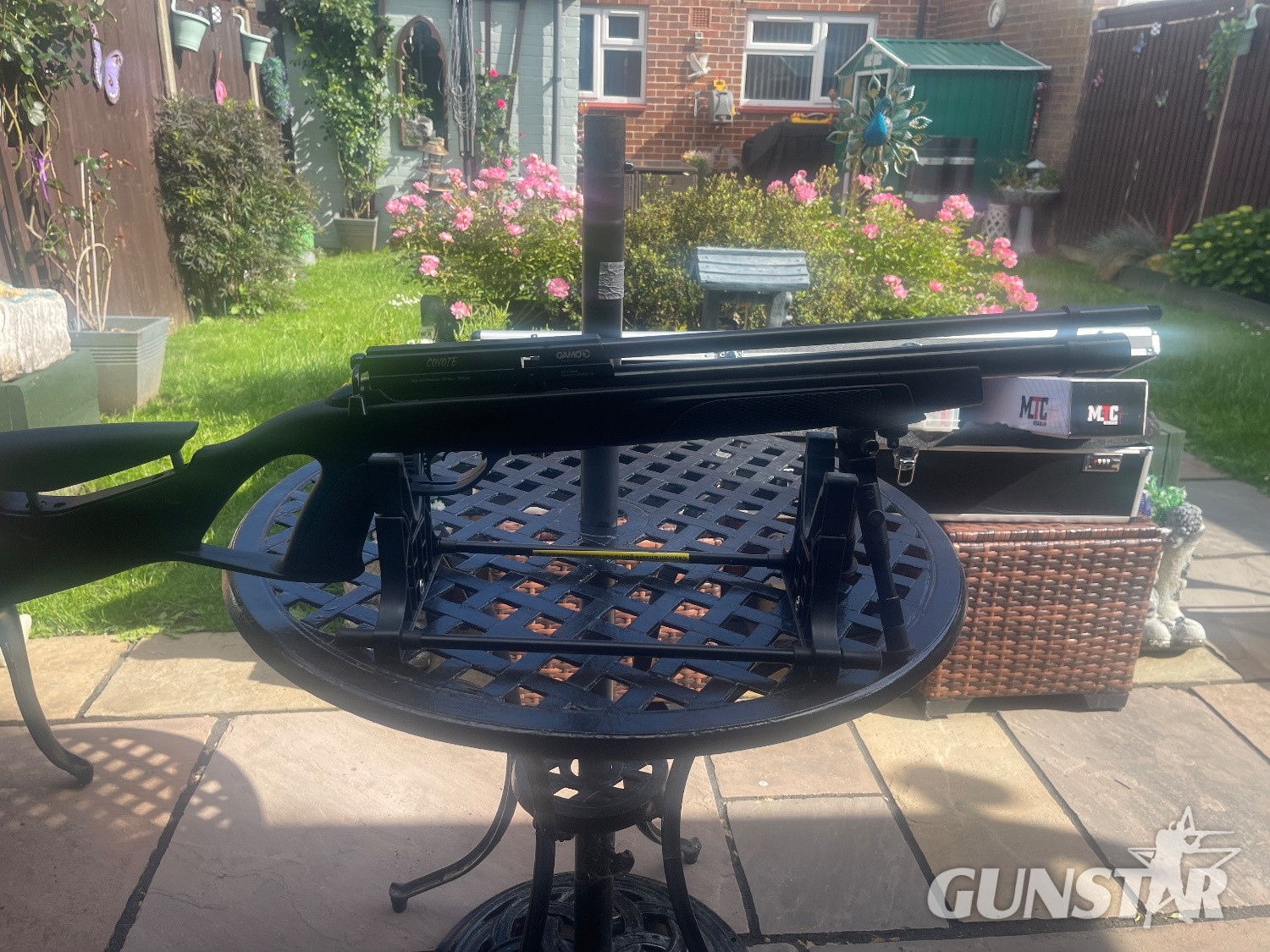 Gamo Coyote .177