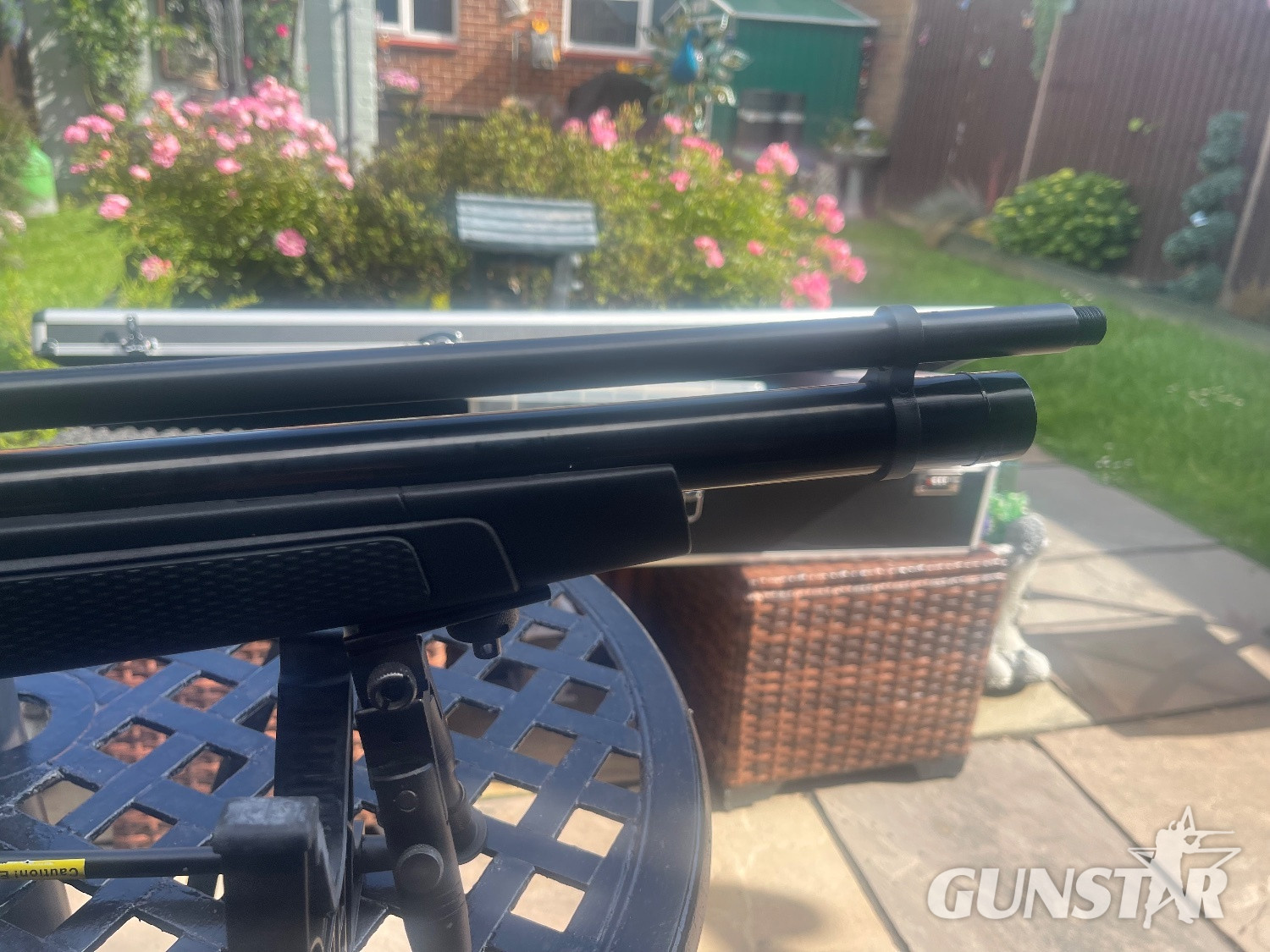 Gamo Coyote .177 - {CATEGORY} in 