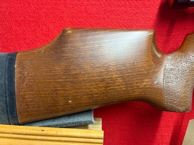 BSA S10 .22