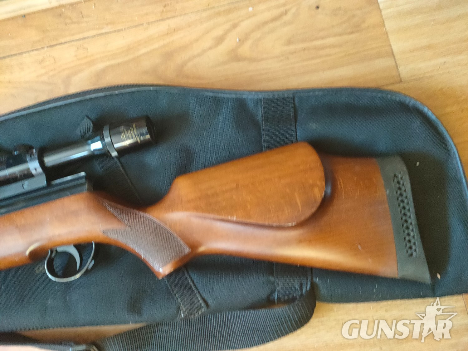 BSA Goldstar Multishot .22 in 