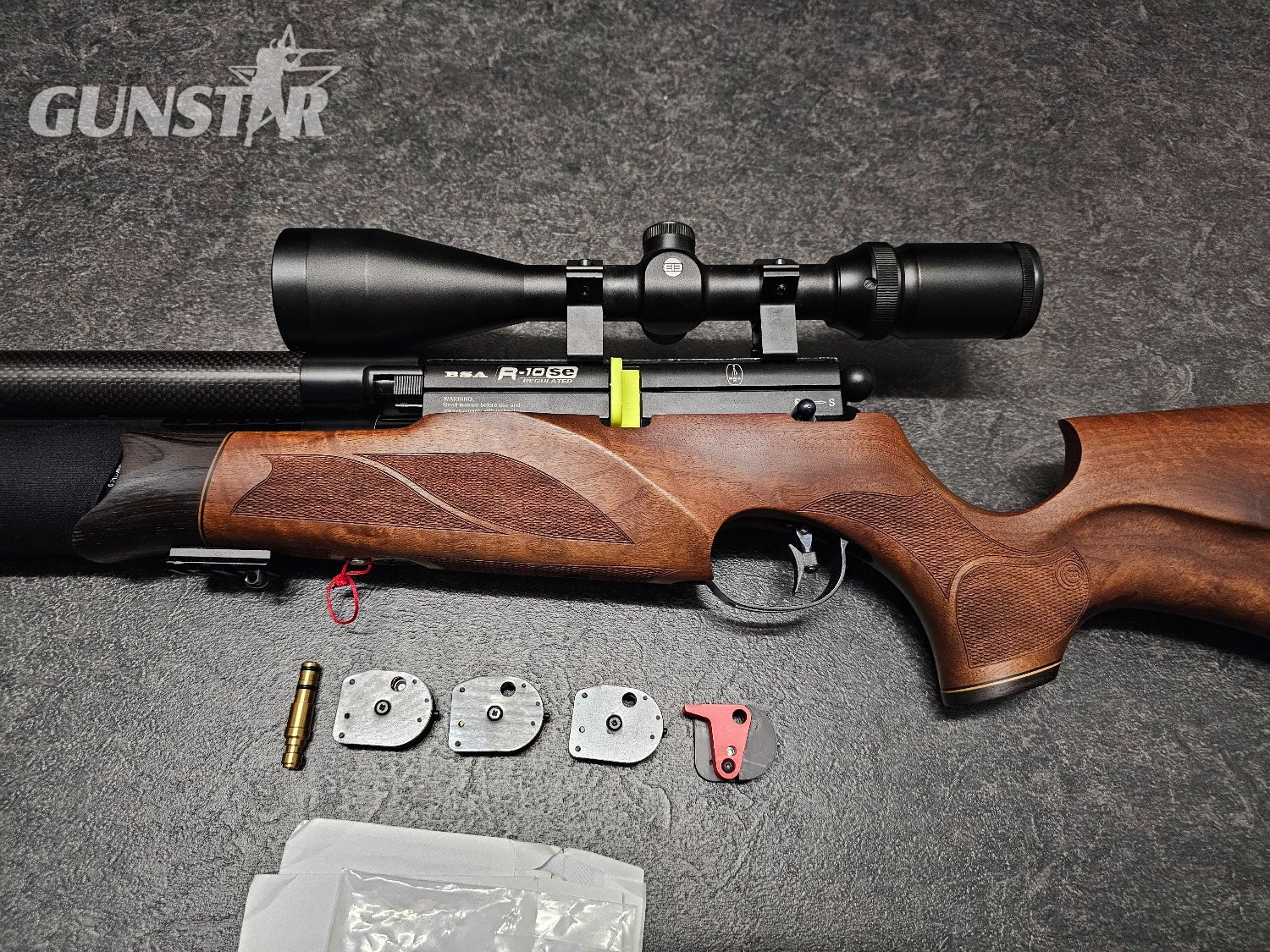  BSA R10 SE RATWORKS  .22