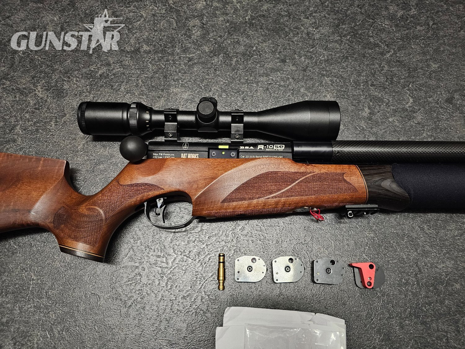 BSA R10 SE RATWORKS  .22 - {CATEGORY} in 