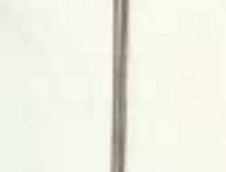 Sword