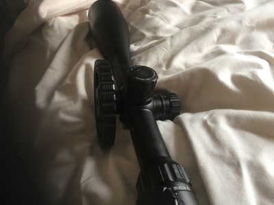 Sight & Optic