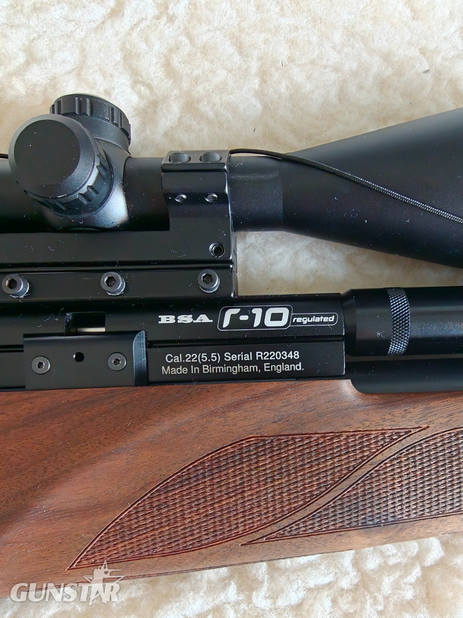 BSA R10 .22 in 
