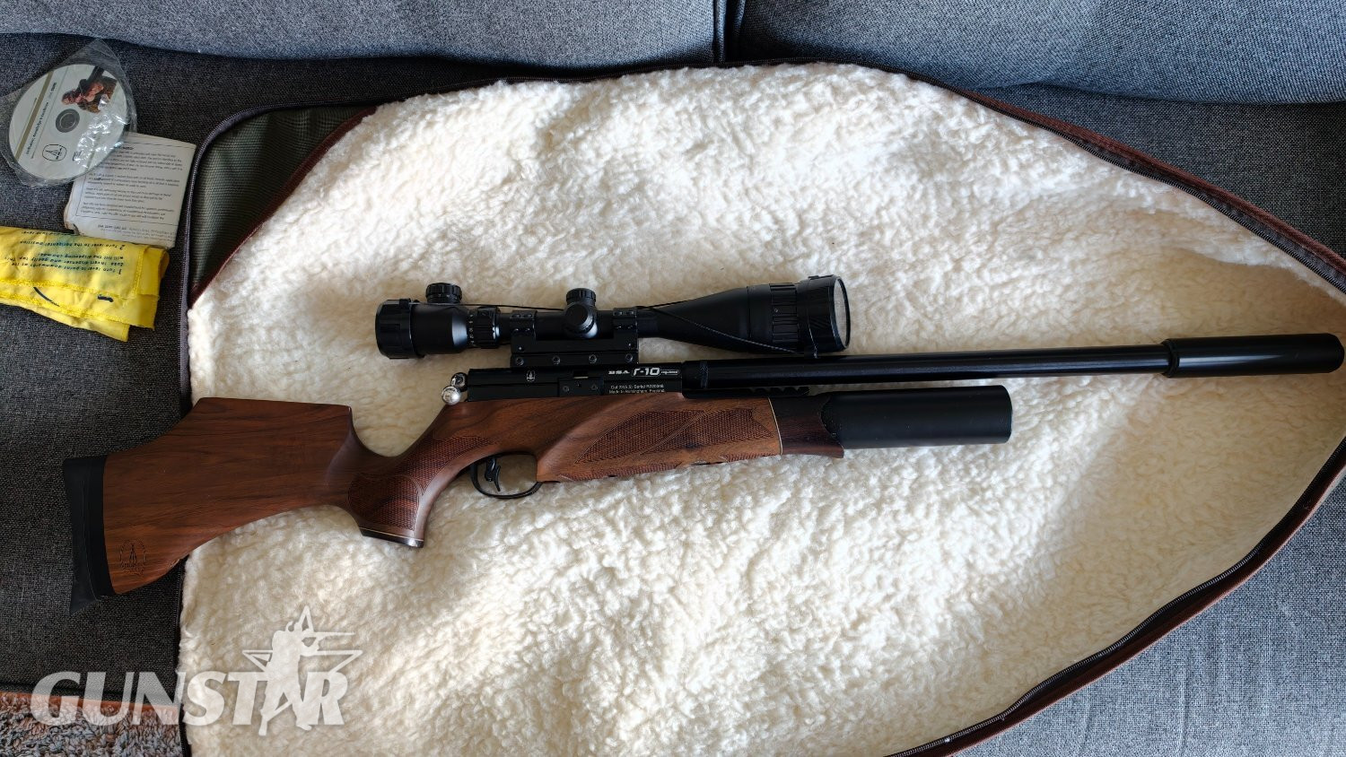 BSA R10 .22