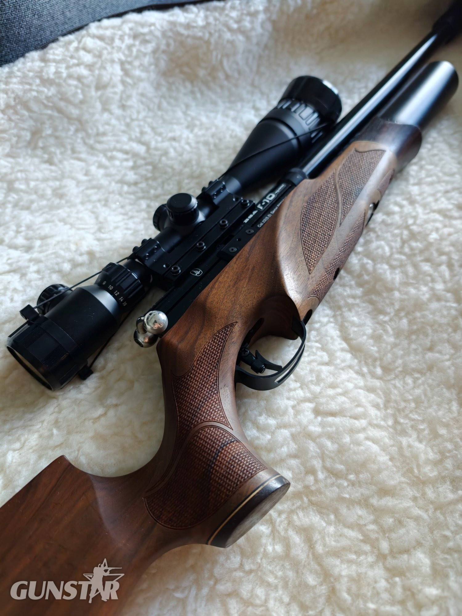 BSA R10 .22 - {CATEGORY} in 