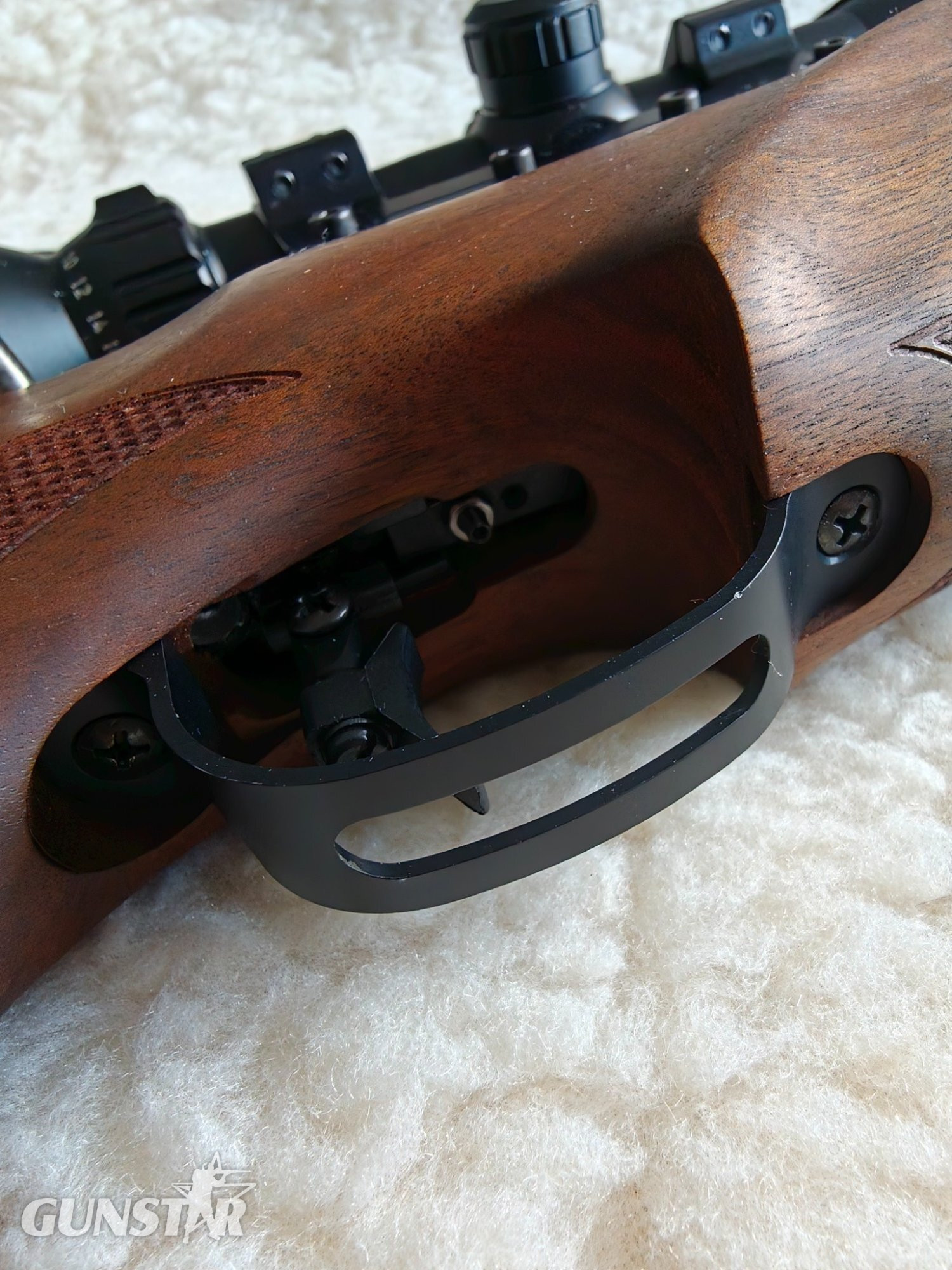 BSA R10 .22 