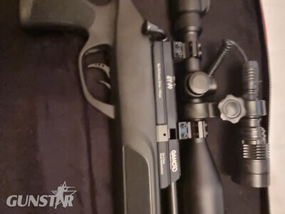Gamo GX40 .22 calibre  .22