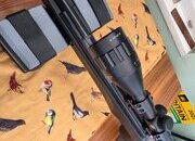 BSA Lightning .22
