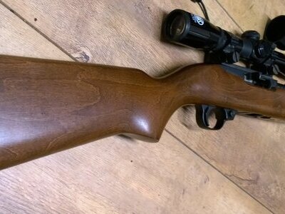 Ruger 10/22 Semi-Auto .22 Long Rifle (.22 LR) Rifle