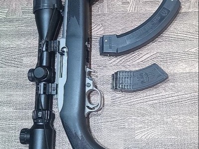 Ruger 10/22 Semi-Auto .22 Long Rifle (.22 LR) Rifle