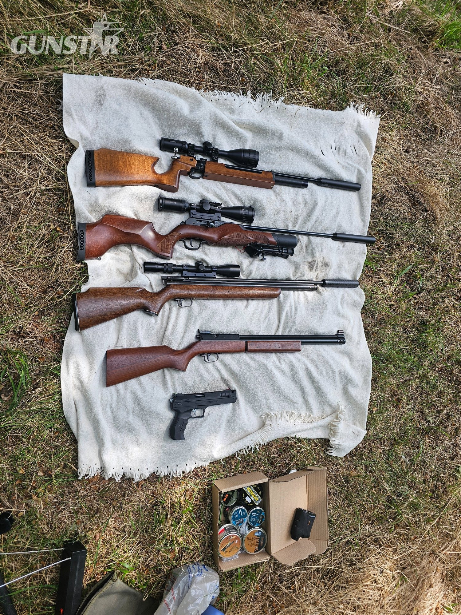 Air Rifle wanted in Northumberland 
