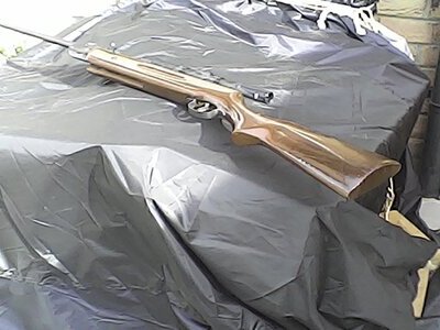 SMK - Sportsmarketing B2 .22 Air Rifle