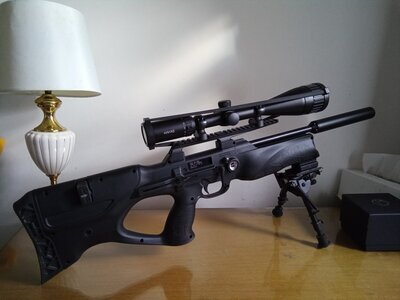 Gamo Boxer .22
