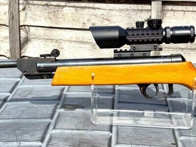 Gamo Elgamo .22