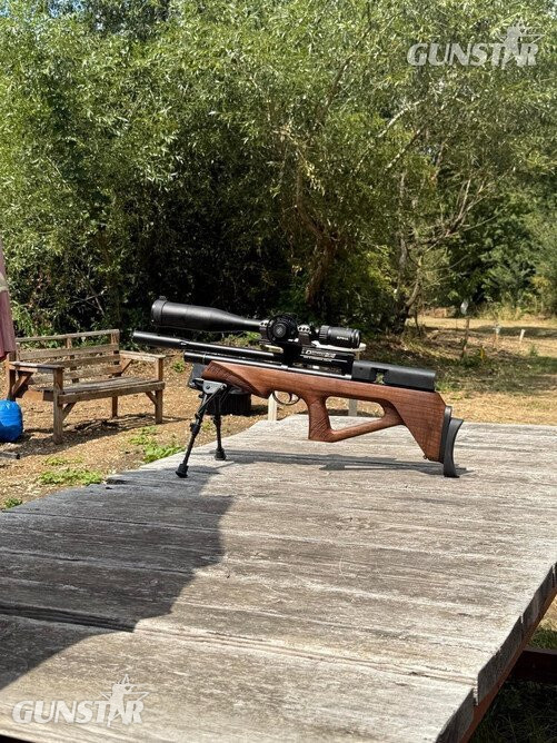  BSA Defiant .177