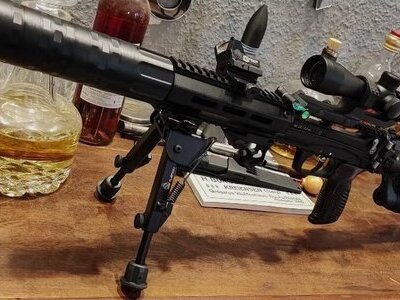 Edgun Leshiy 2 in AR15 Style .22