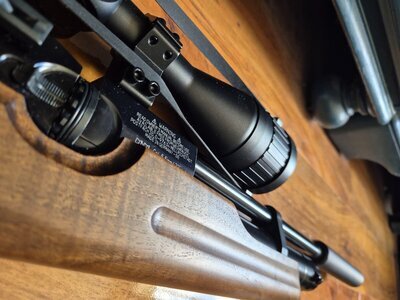 Weihrauch HW100 .22