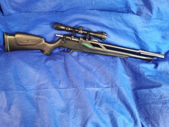 Remington T-Rex .22