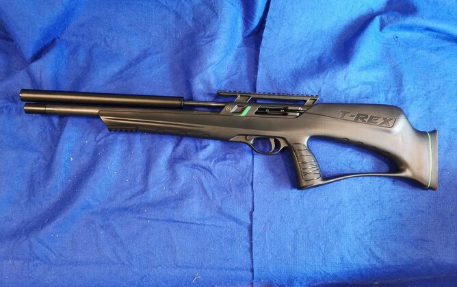 Remington T-Rex .22 - {CATEGORY} in 