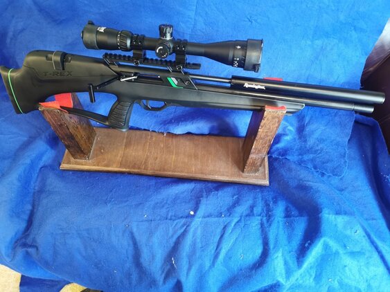 Remington T-Rex .22 