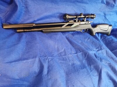 Remington T-Rex .22