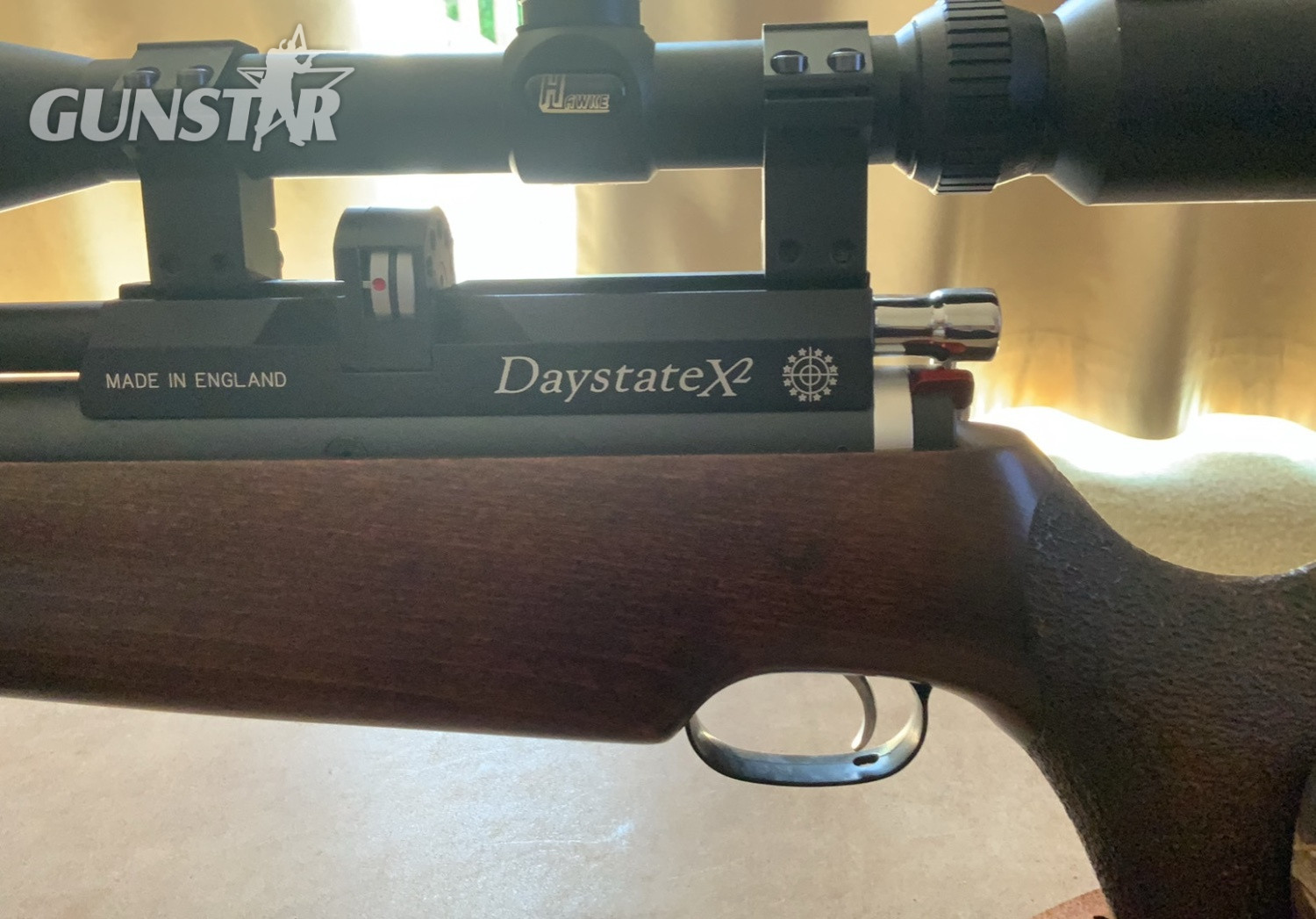 Daystate X2 .22 in 