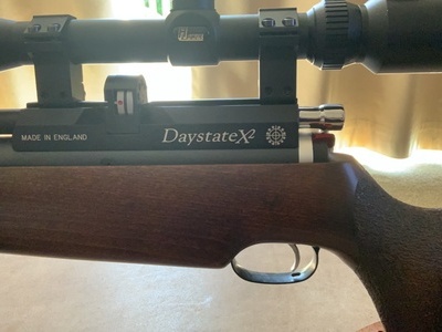 Daystate X2 .22