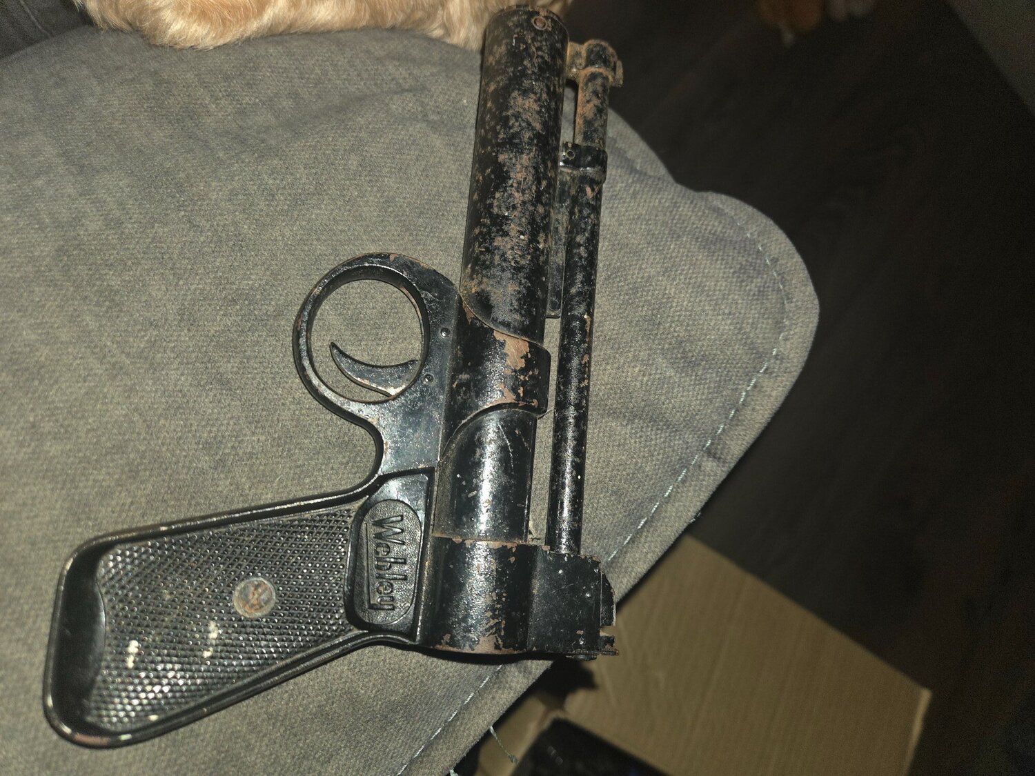Webley & Scott Junior None Single Shot