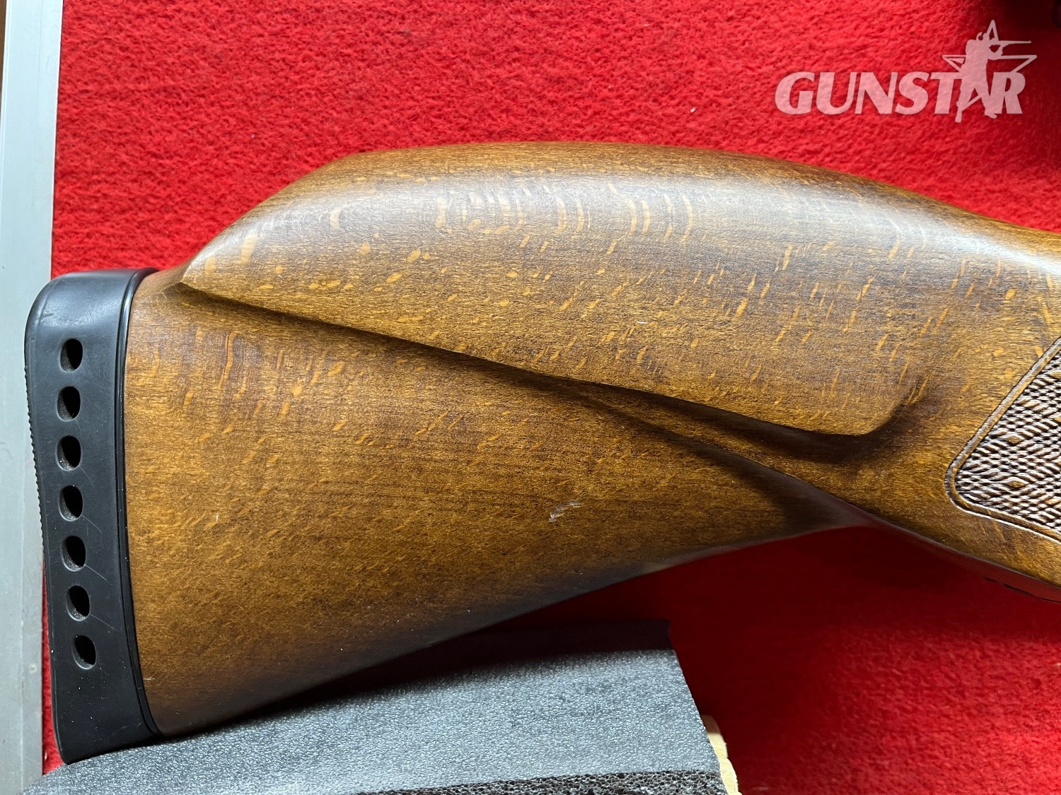 Gamo Coyote .22 in 