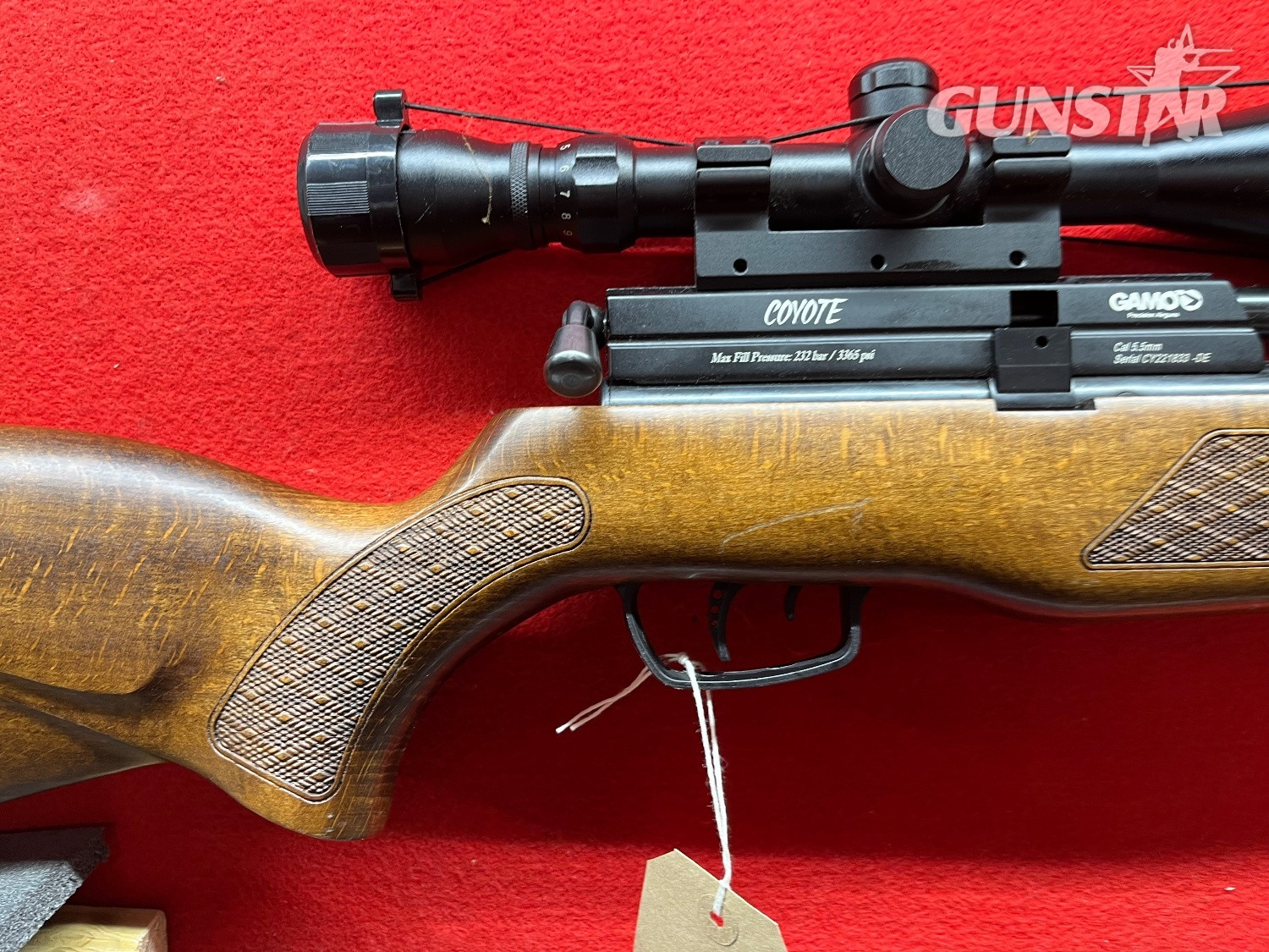 Gamo Coyote .22