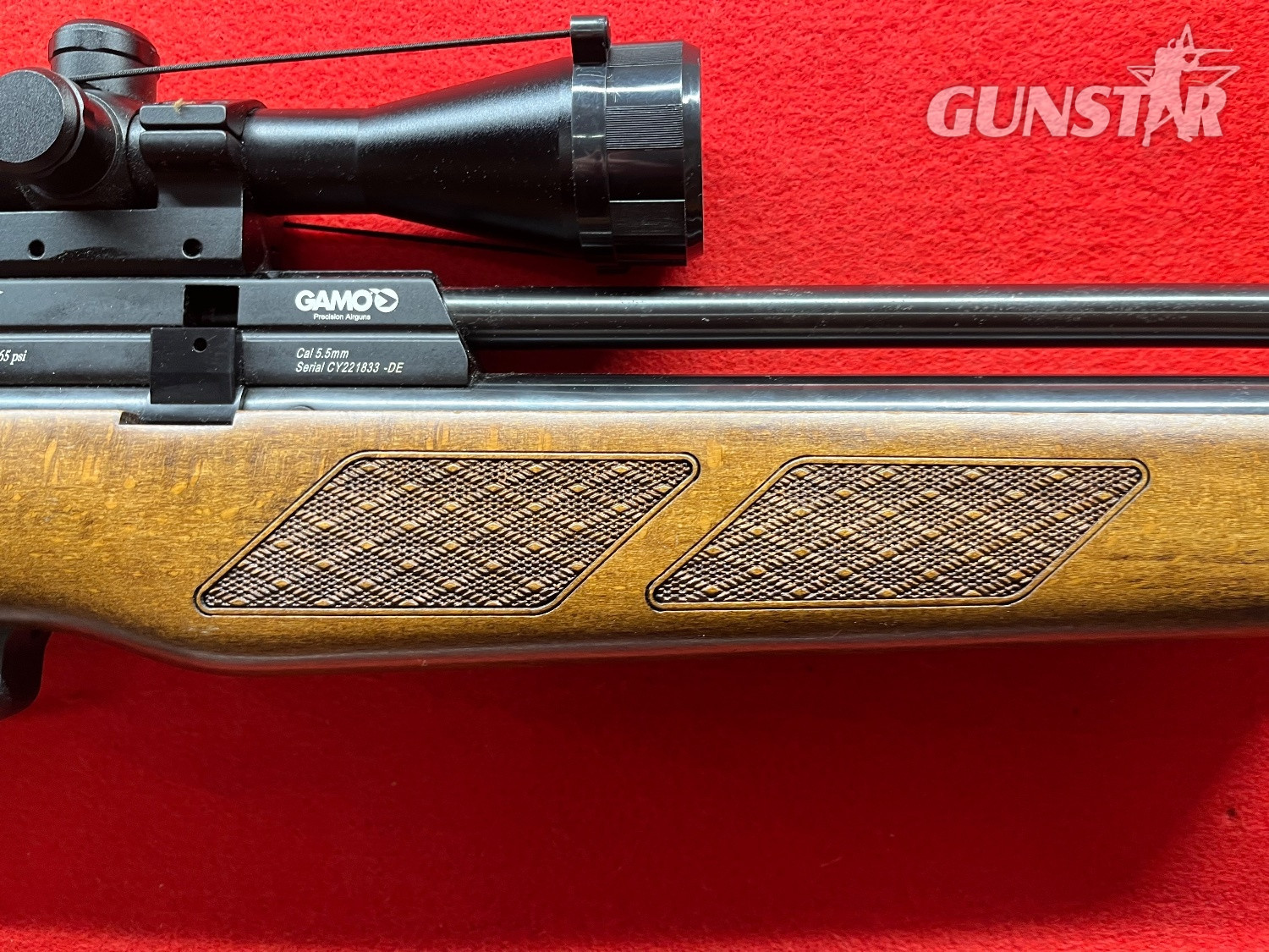  Gamo Coyote .22