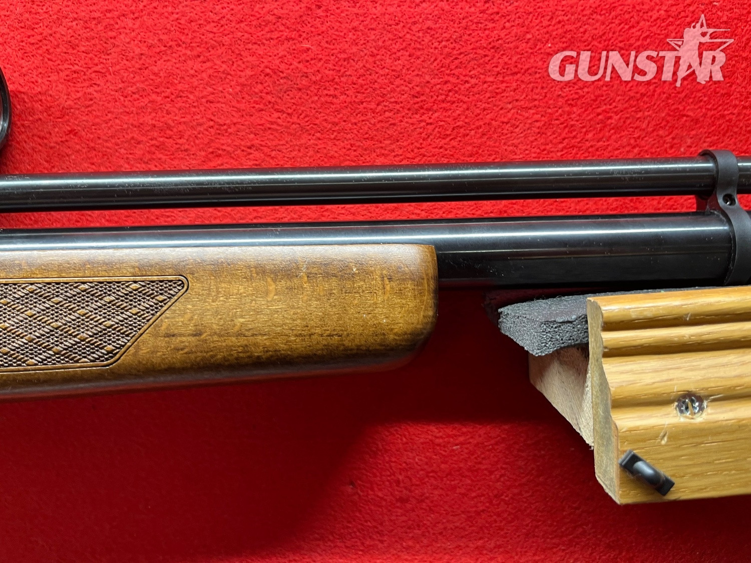 Gamo Coyote .22 - {CATEGORY} in 
