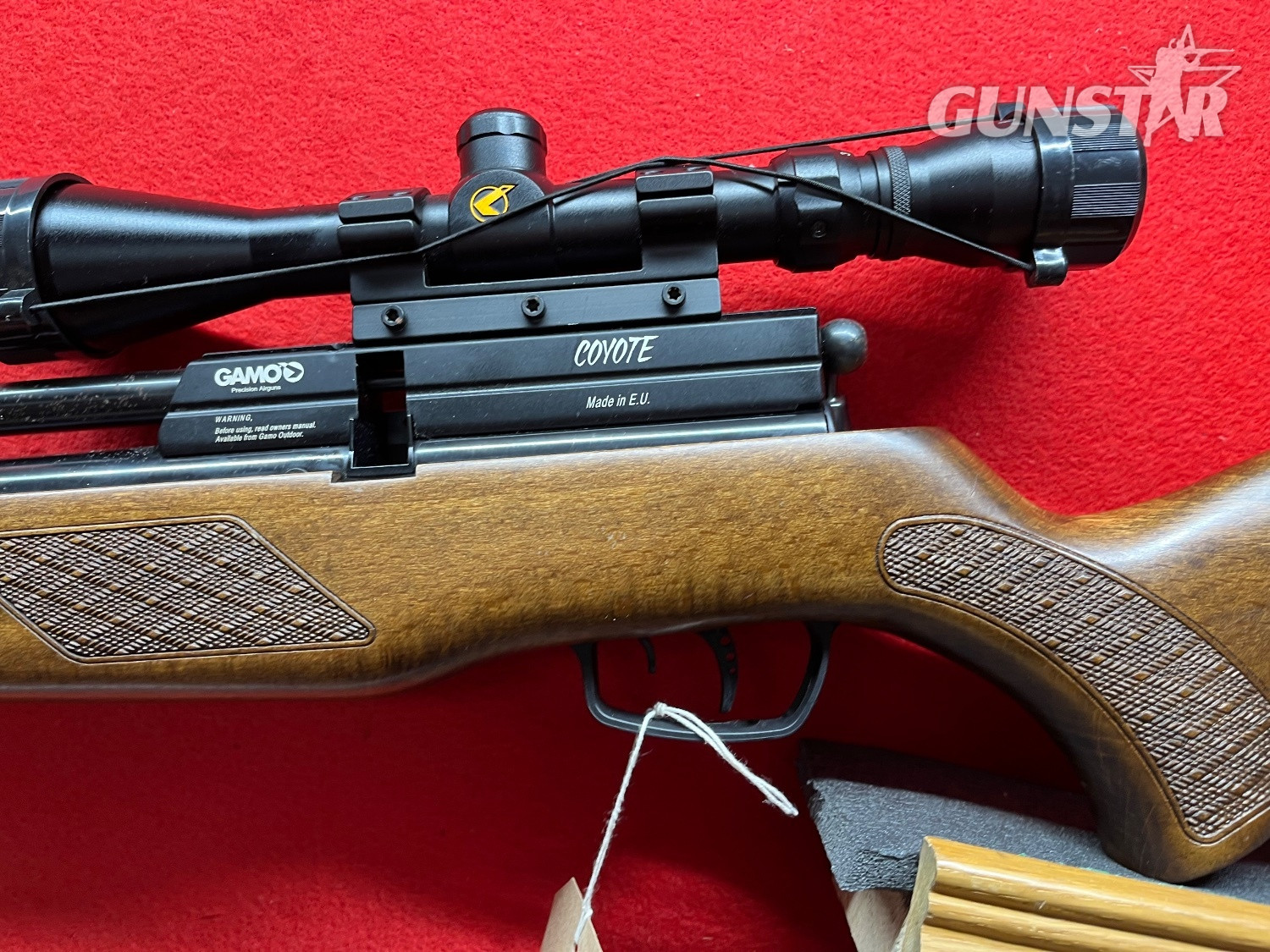 {CATEGORY} - Gamo Coyote .22 in 