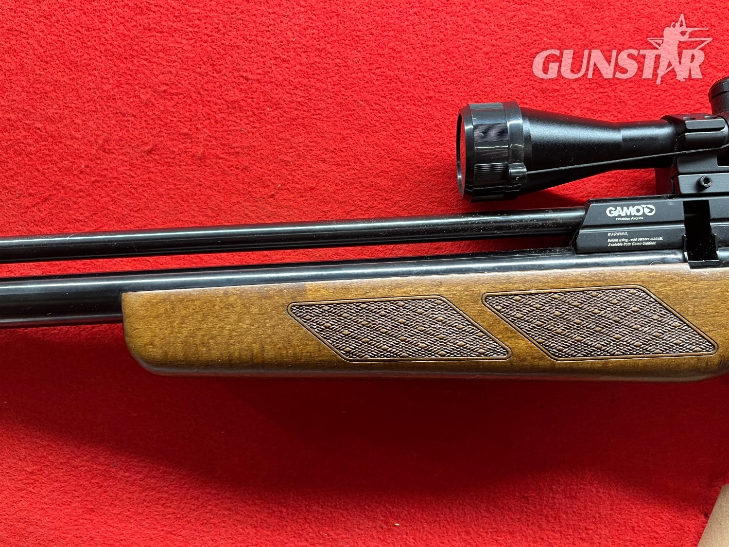 {CATEGORY} - Gamo Coyote .22