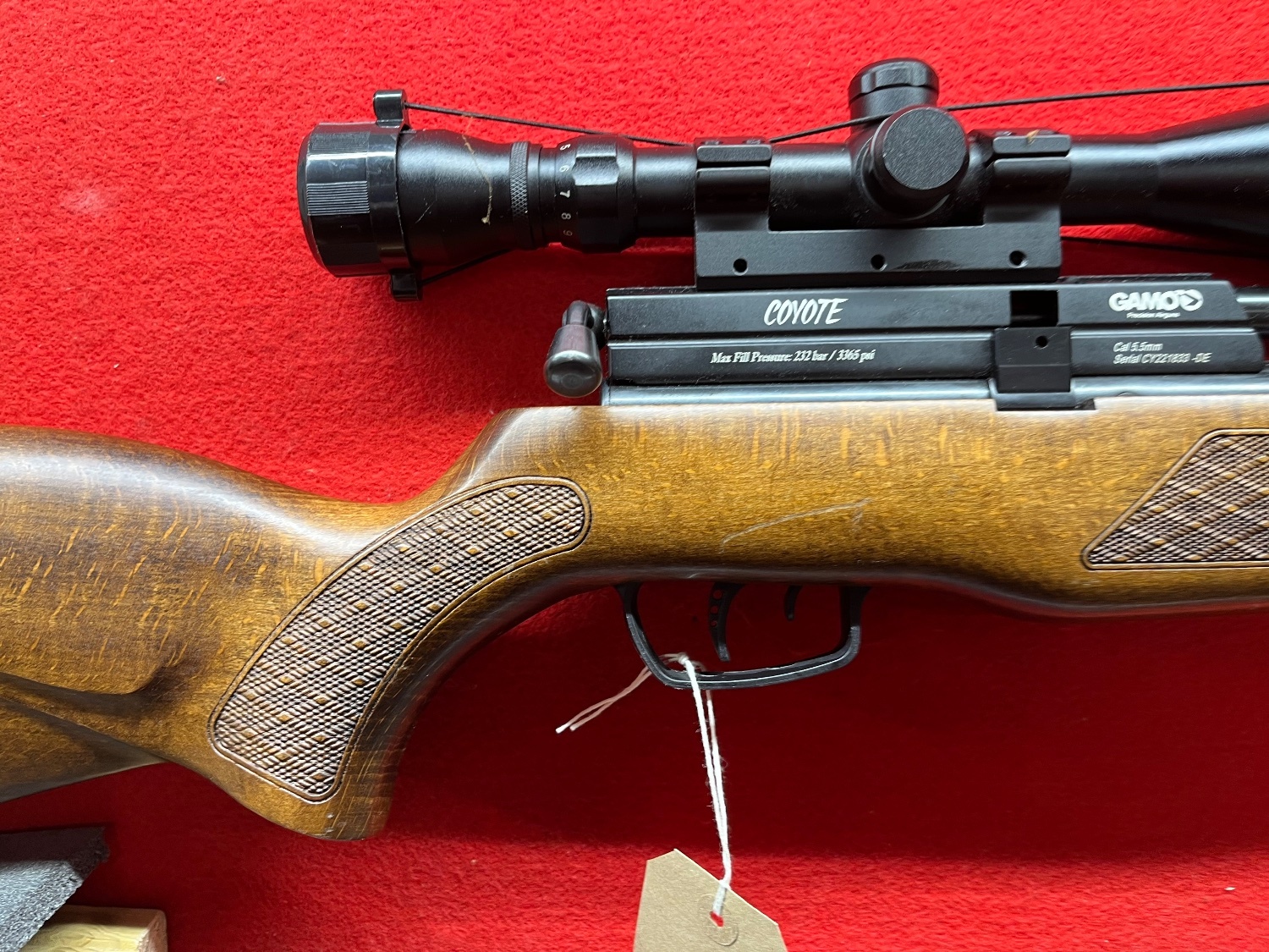 Gamo Coyote .22
