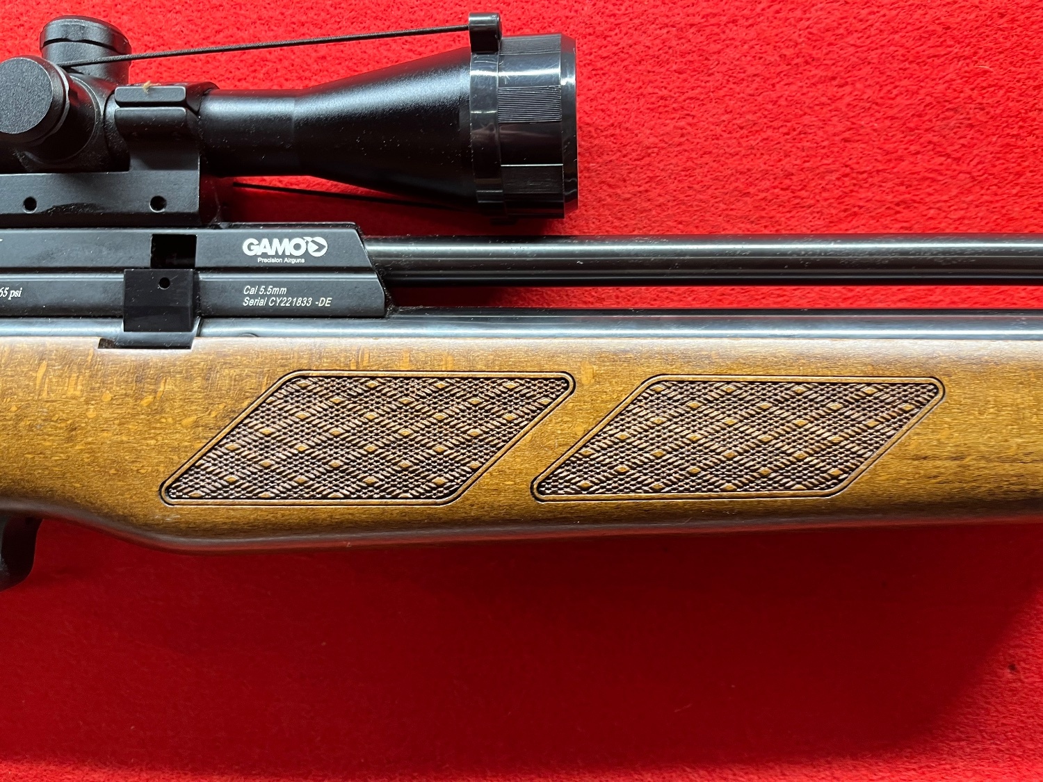  Gamo Coyote .22
