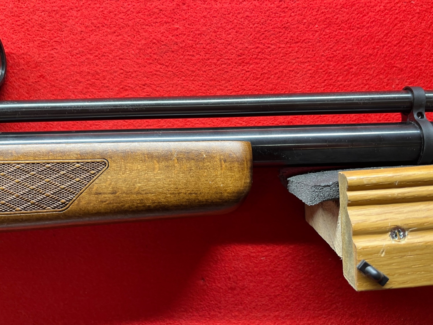 Gamo Coyote .22 - {CATEGORY} in 