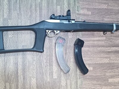 Ruger 10/22 Semi-Auto .22 Long Rifle (.22 LR) Rifle