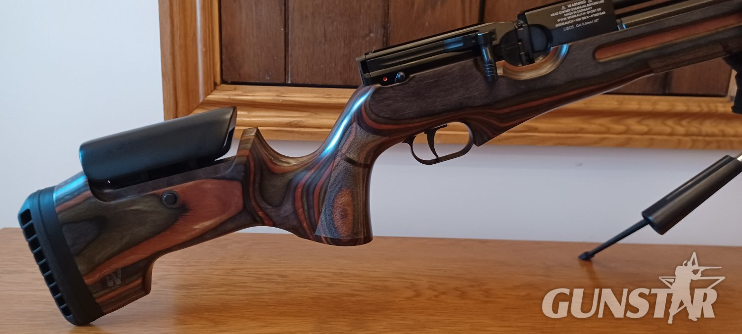 Weihrauch HW100 X Sporter Laminate Adjustable. 22 Cal. .22