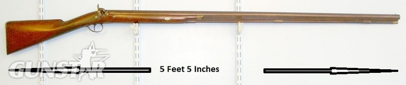 William Burnett 9 Bore Percussion Muzzle Loading Wildfowling Bank Gun With Walnut Stock & Ramrod Muzzleloader Obsolete