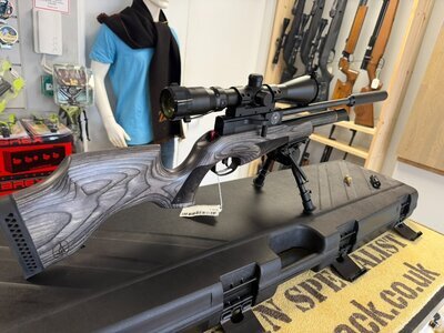 BSA Ultra CLX 160th Addition  .22