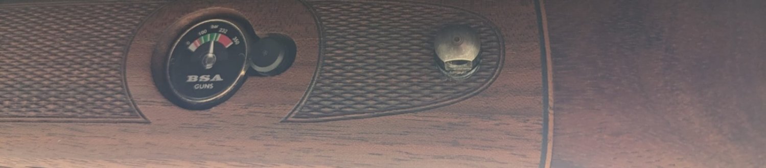 BSA R10 .177 