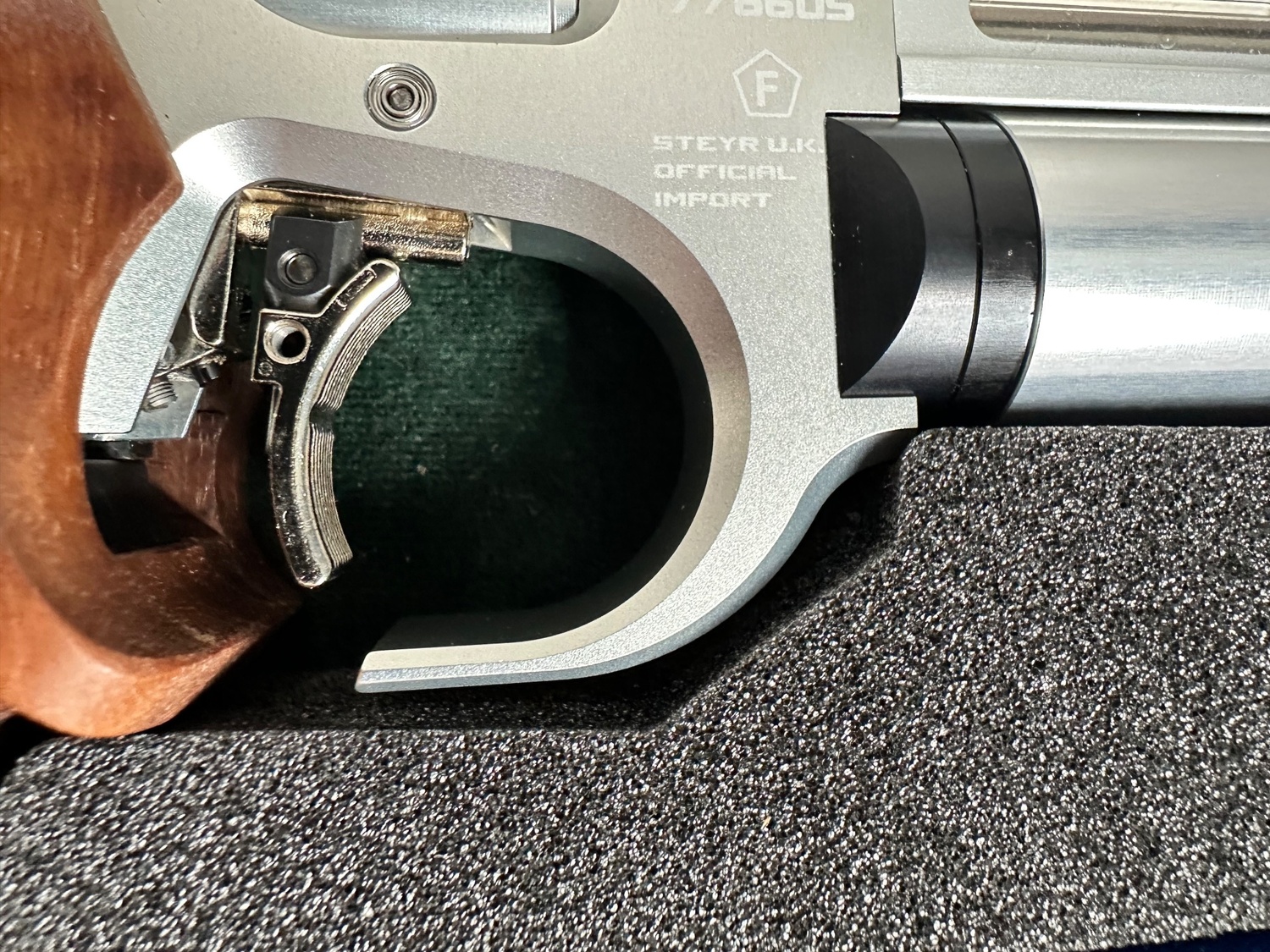 Steyr evo 10 .177