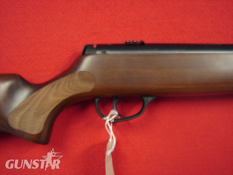  Hatsan Arms 900X .22