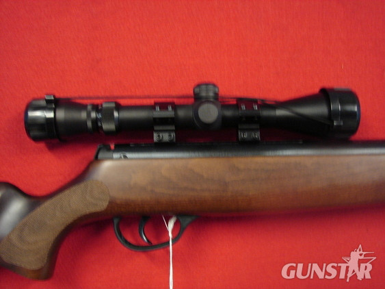Hatsan Arms 900X .22