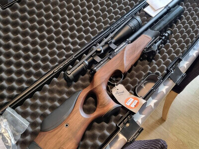 BSA R10 .177