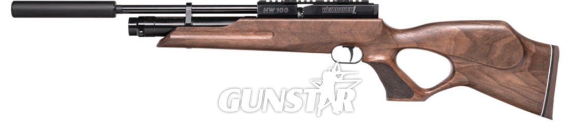 Weihrauch HW100 KT .20 in 